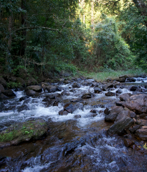 Place Image